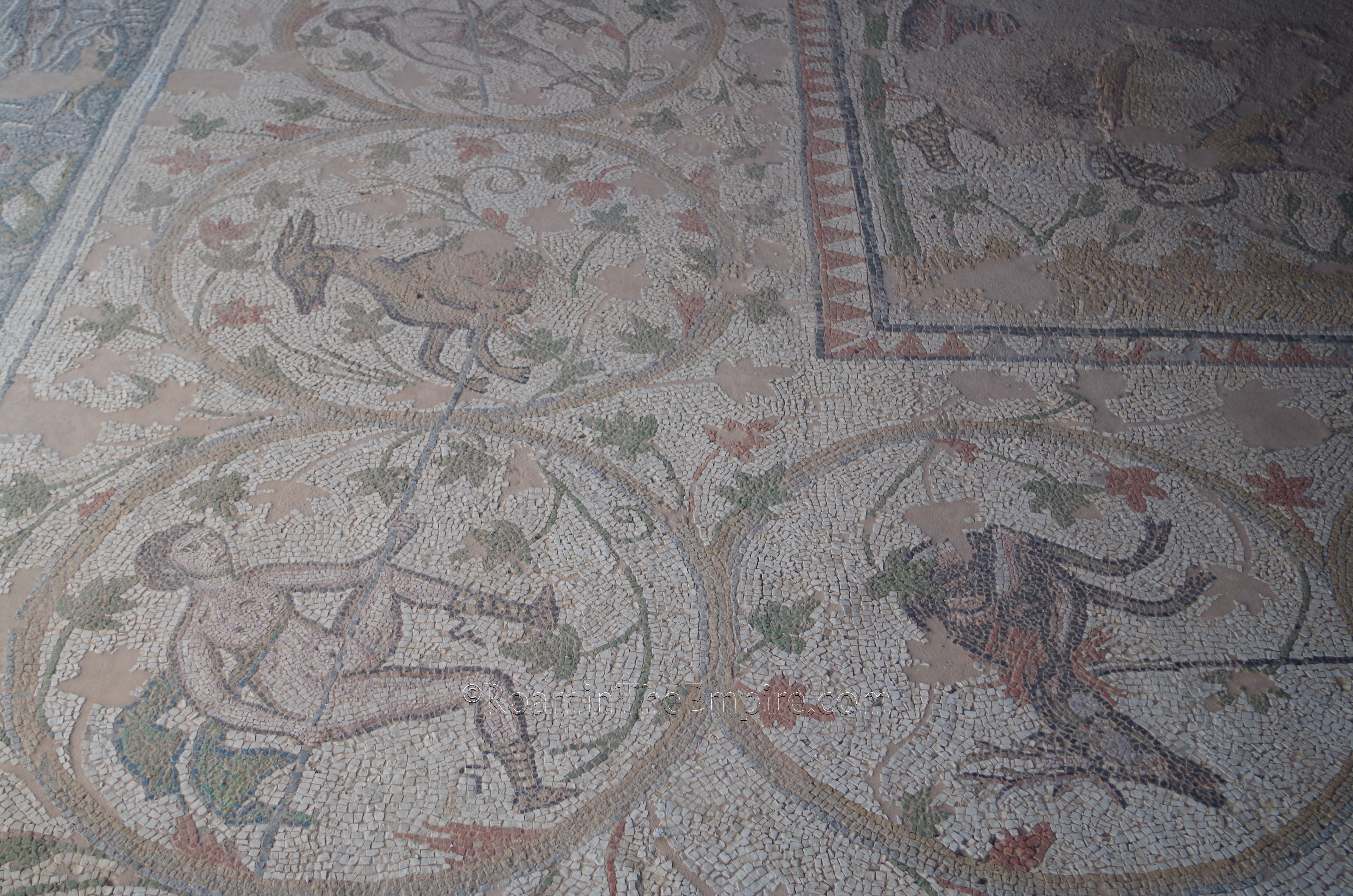 Detail of the hunt scene border of the mosaic from the south pastophorion  of Basilica A.