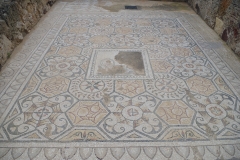 Nereid mosaic in a cubiculum of the Casa Dell’Atrio Tetrastilo.