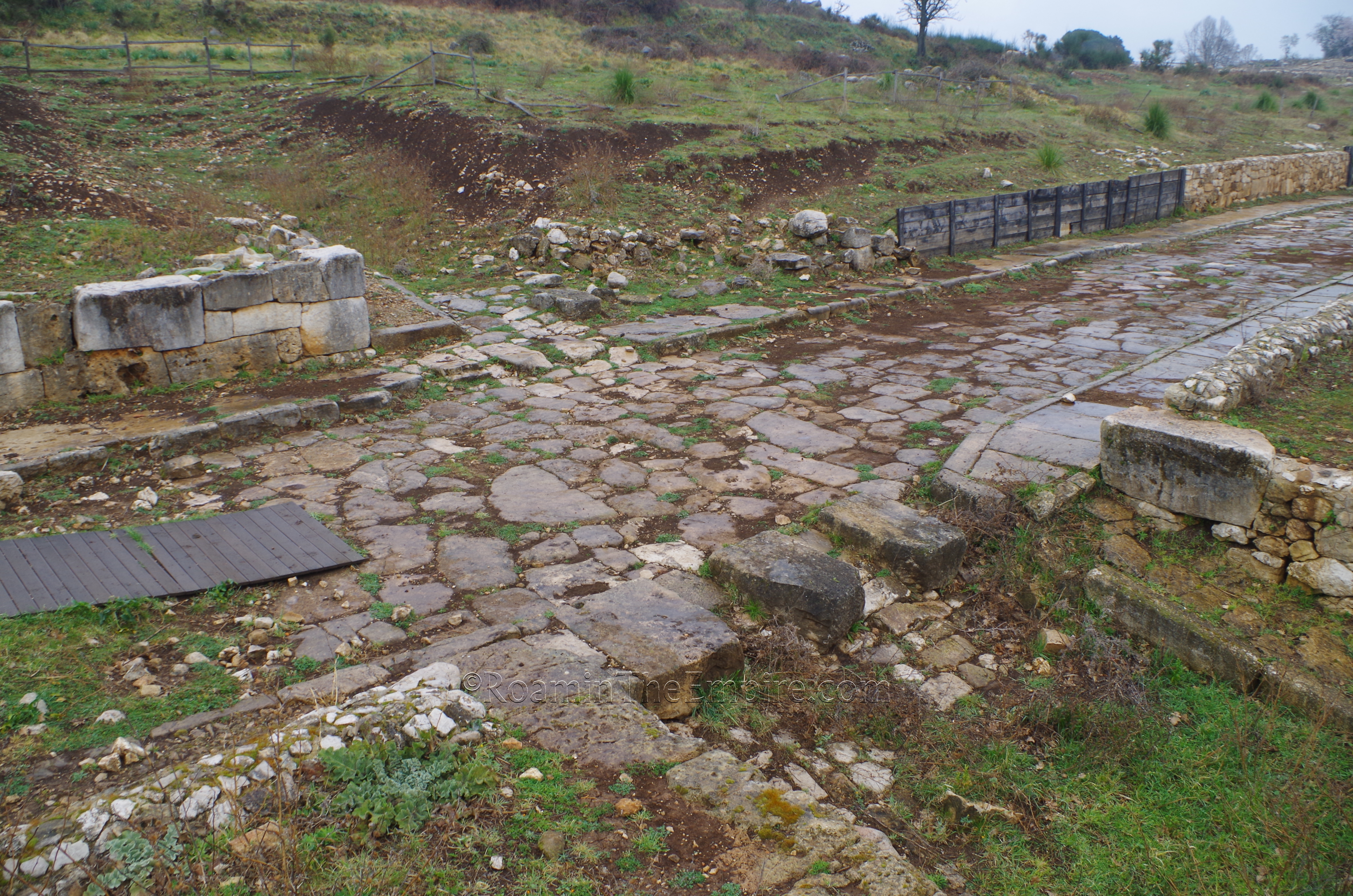 Crosswalk stones adjacent to the decumanus leading between the small acropolis and baths.