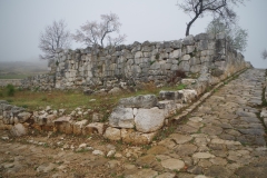 Terraced area across from the Domus del Cauceo.