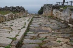 Cardo leading by the terraced area toward the Domus del Cauceo.