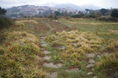 Road leading to the large acropolis.