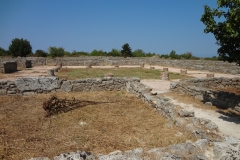 House with the large peristyle.