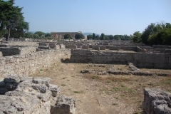 Residential area west of the Via Sacra.