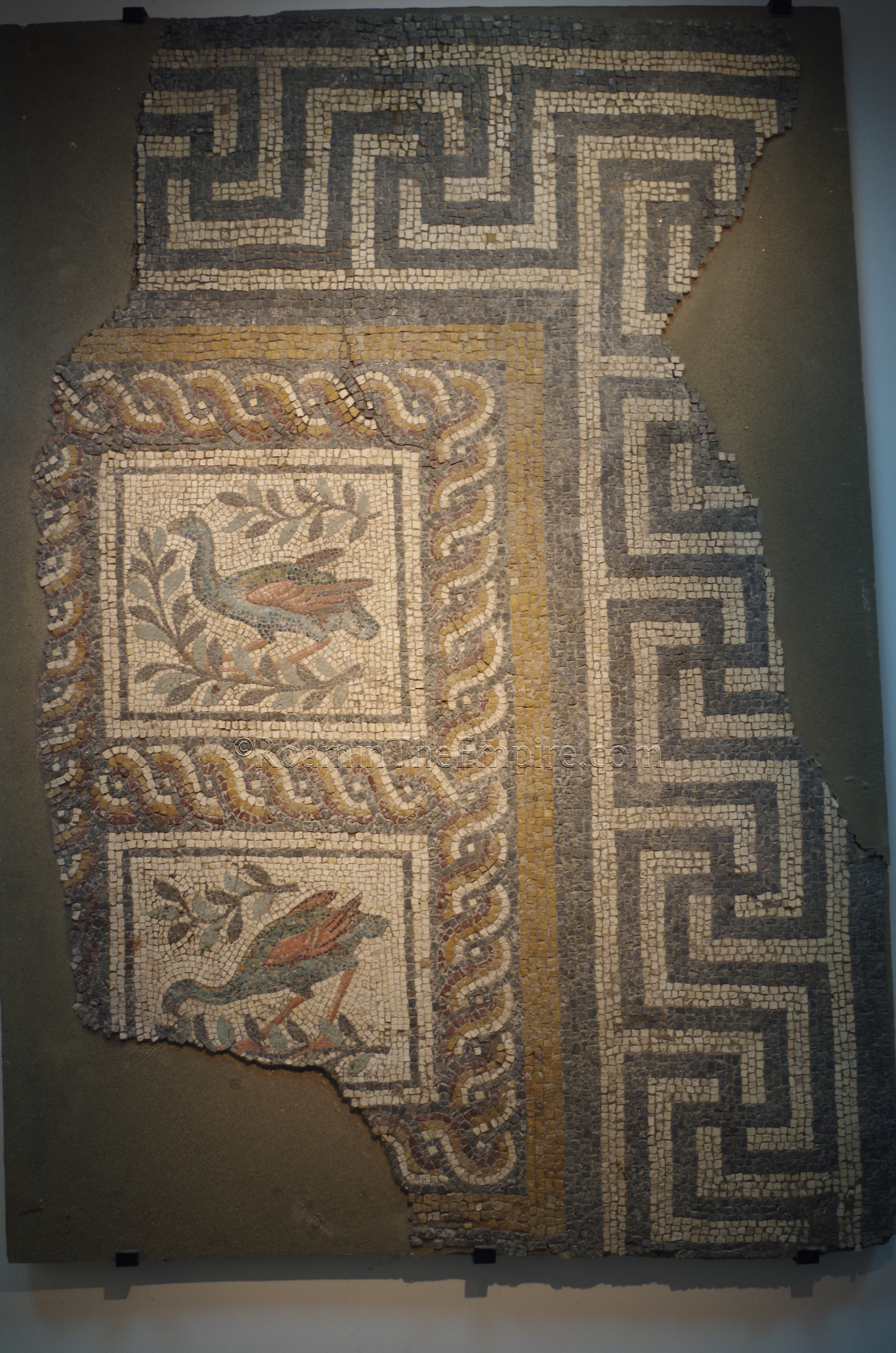 Mosaic depicting porphyrio  alleni birds from a private residence in Philippopolis. Dated to the 3rd century CE. Regional Archaeological Museum.