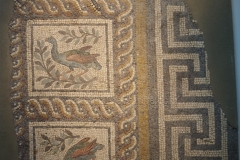 Mosaic depicting porphyrio  alleni birds from a private residence in Philippopolis. Dated to the 3rd century CE. Regional Archaeological Museum.