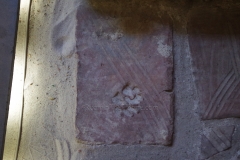 Tile with dog print at the amphitheater.