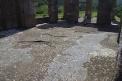 Mosaic flooring in the cella of the Temple of Antas.