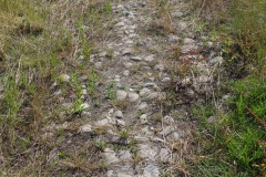 Roman road leading up to the Decimomannu bridge.