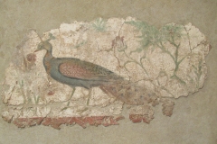 Wall painting of a peacock from a suburban villa. Dated to the 2nd-3rd century CE and housed at the MNAT.