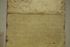 IMGP3979