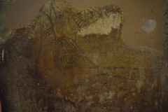 Image of a bird from the hypogeum of San Salvatore.