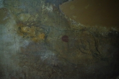 Image of an animal from the hypogeum of San Salvatore.