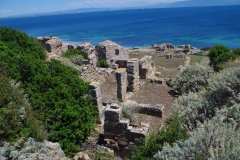 Temple K.