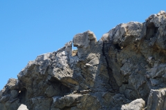 Punic tombs of the Southern Necropolis.