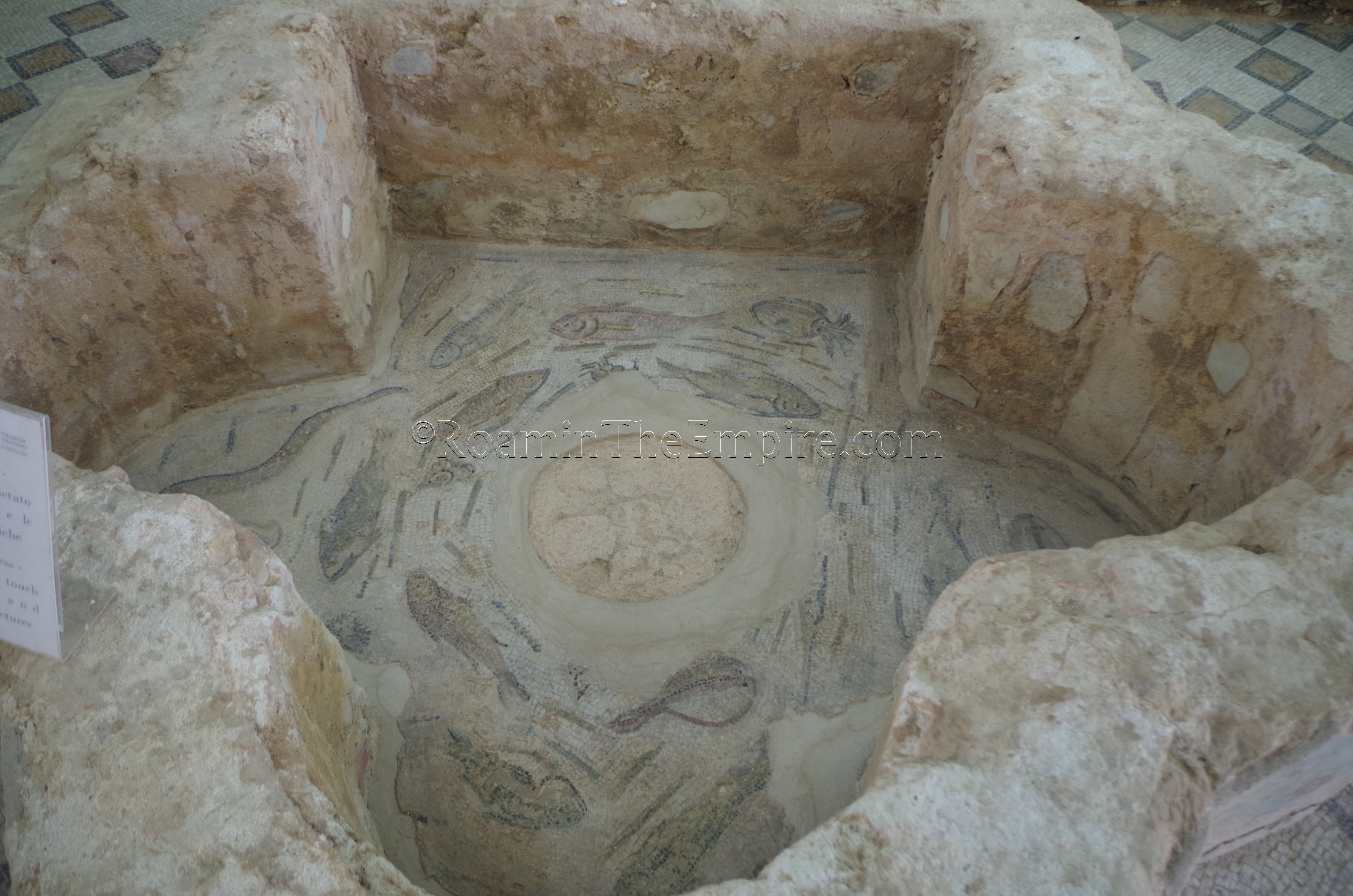 Basin with marine mosaic in the Domus of Orpheus.