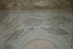 Detail of the marine mosaic in the Domus of Orpheus.