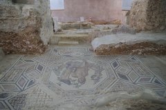 Orpheus mosaic in the Domus of Orpheus.