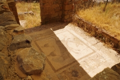 Bull and Dioscuri symbols mosaic from a room around the palaestra, identified as an apodyterium.