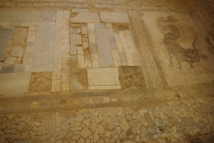 Opus sectile flooring in the apodyterium of the bathing complex.