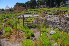 Cistern in insula XVIIb.