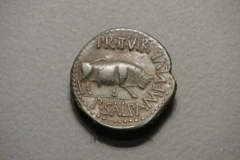 Provincial coin minted by P. Salpa and M. Fulvius minted in Celsa between 44-36 BCE. At the Museu de Prehistòria de València.