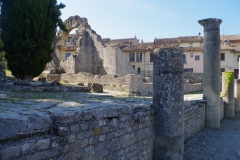 Cardo and bathing complex.