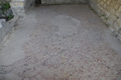 Opus spicatum floor in the bathing area of the Maison au Dauphin.