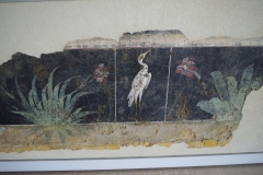 Wall painting dating to the 1st century CE. Found in Vienne and displayed in the Musée Gallo Romain.