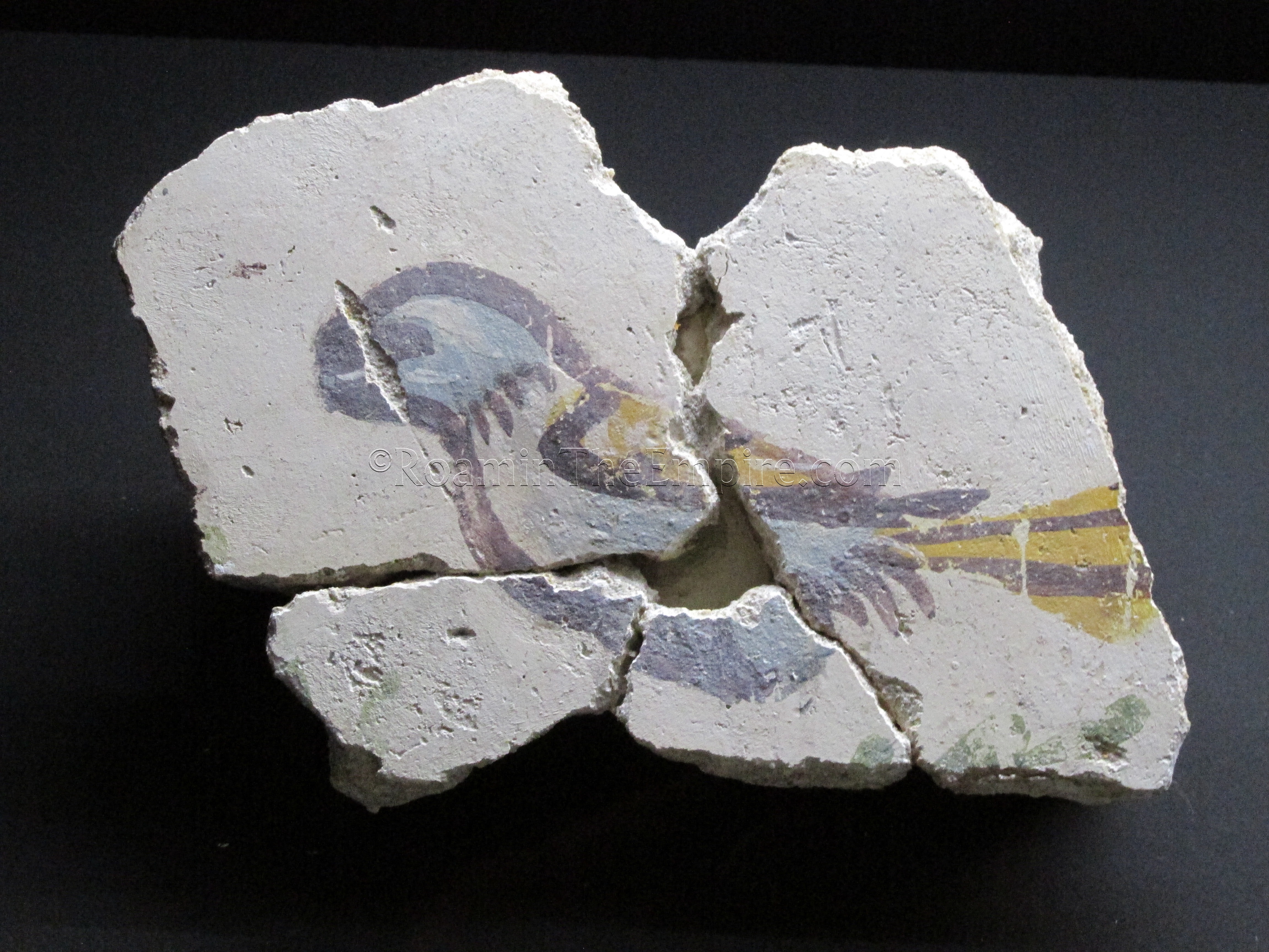 Fragment of wall painting with an image of a bird.