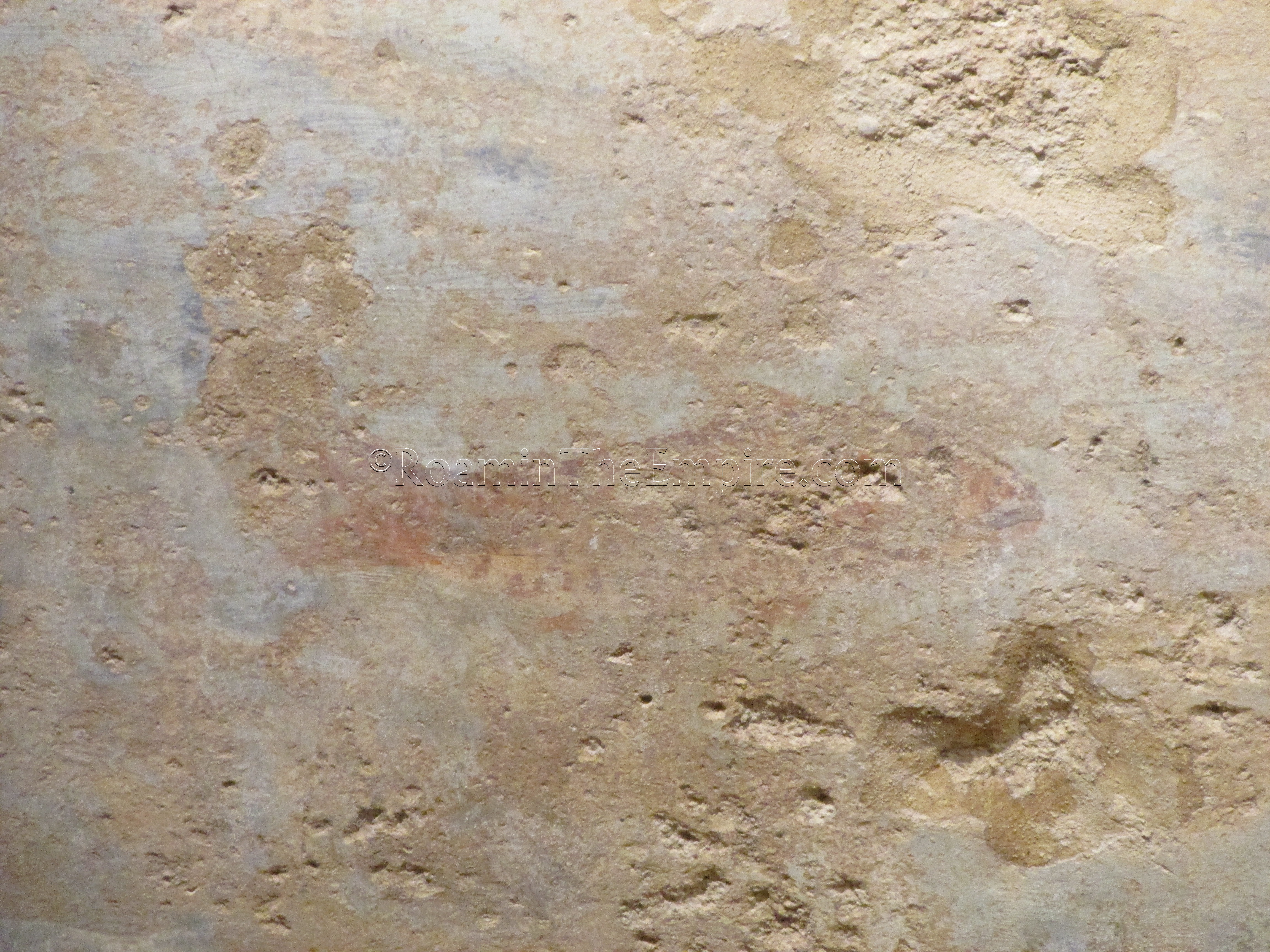 Painting of a fish on the impluvium in the atrium.