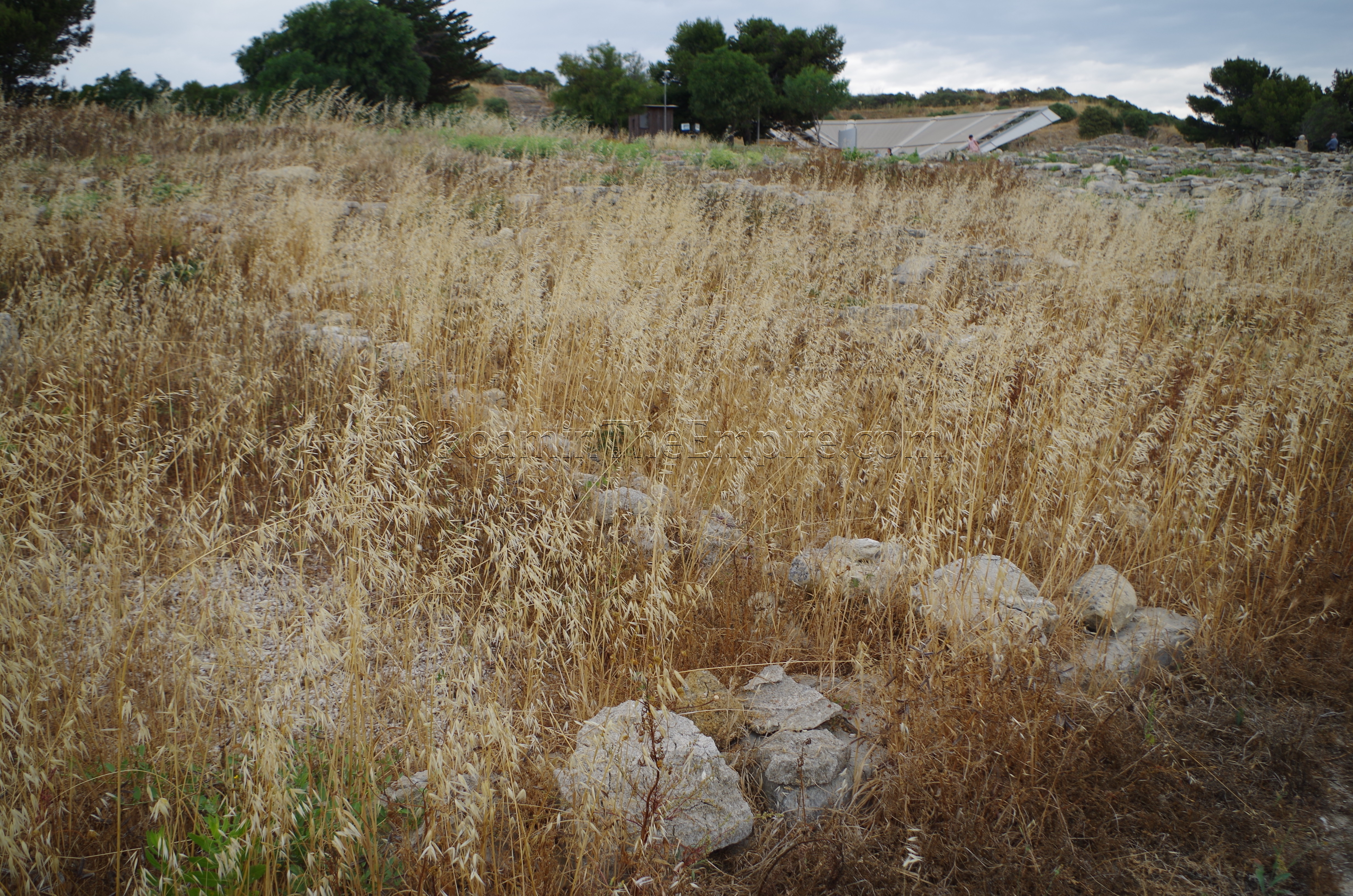 Overgrown remains of Herakleia Minoa.