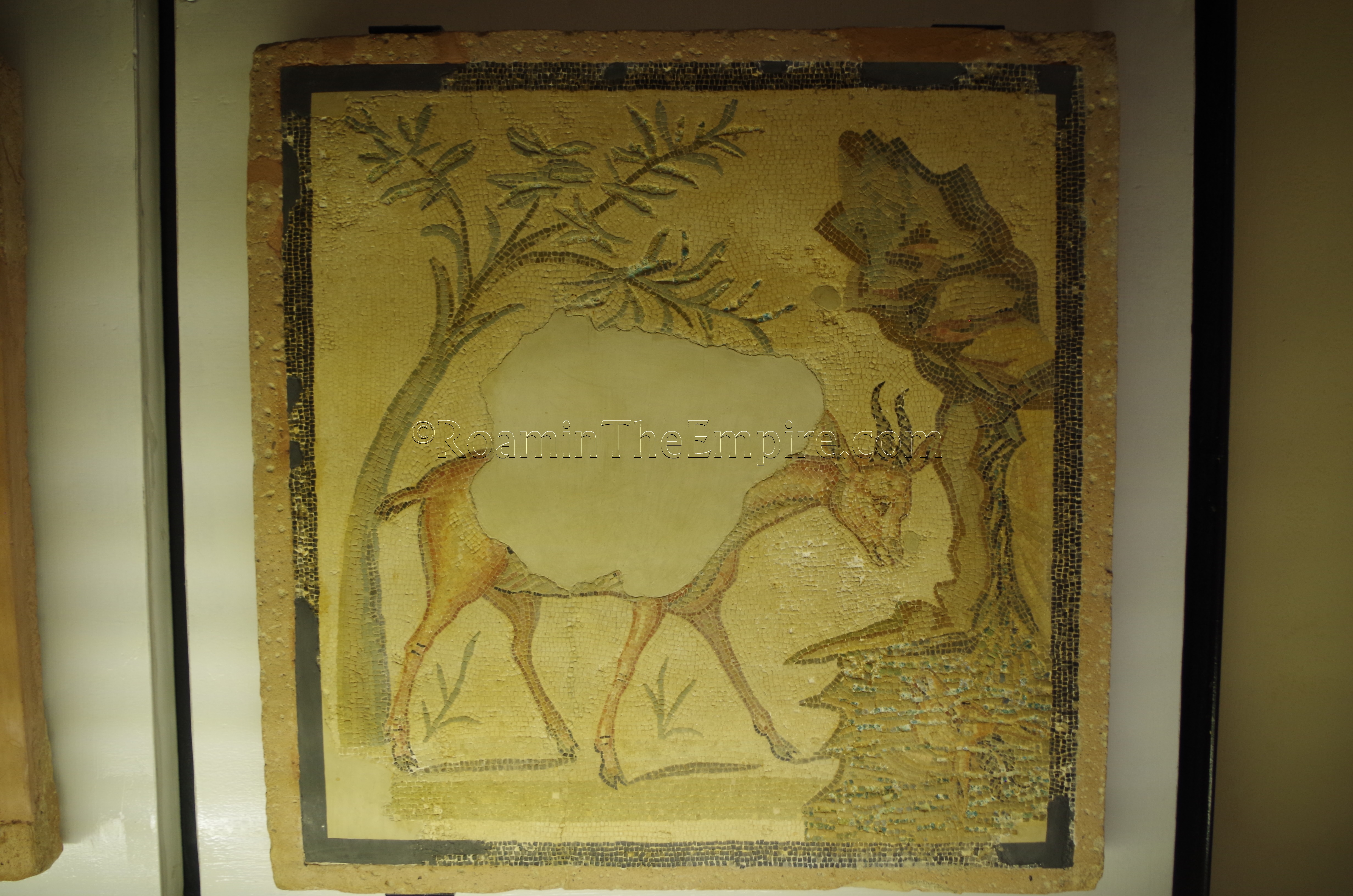 Mosaic from the Hellenistic-Roman Quarter, displayed in the archaeological museum.