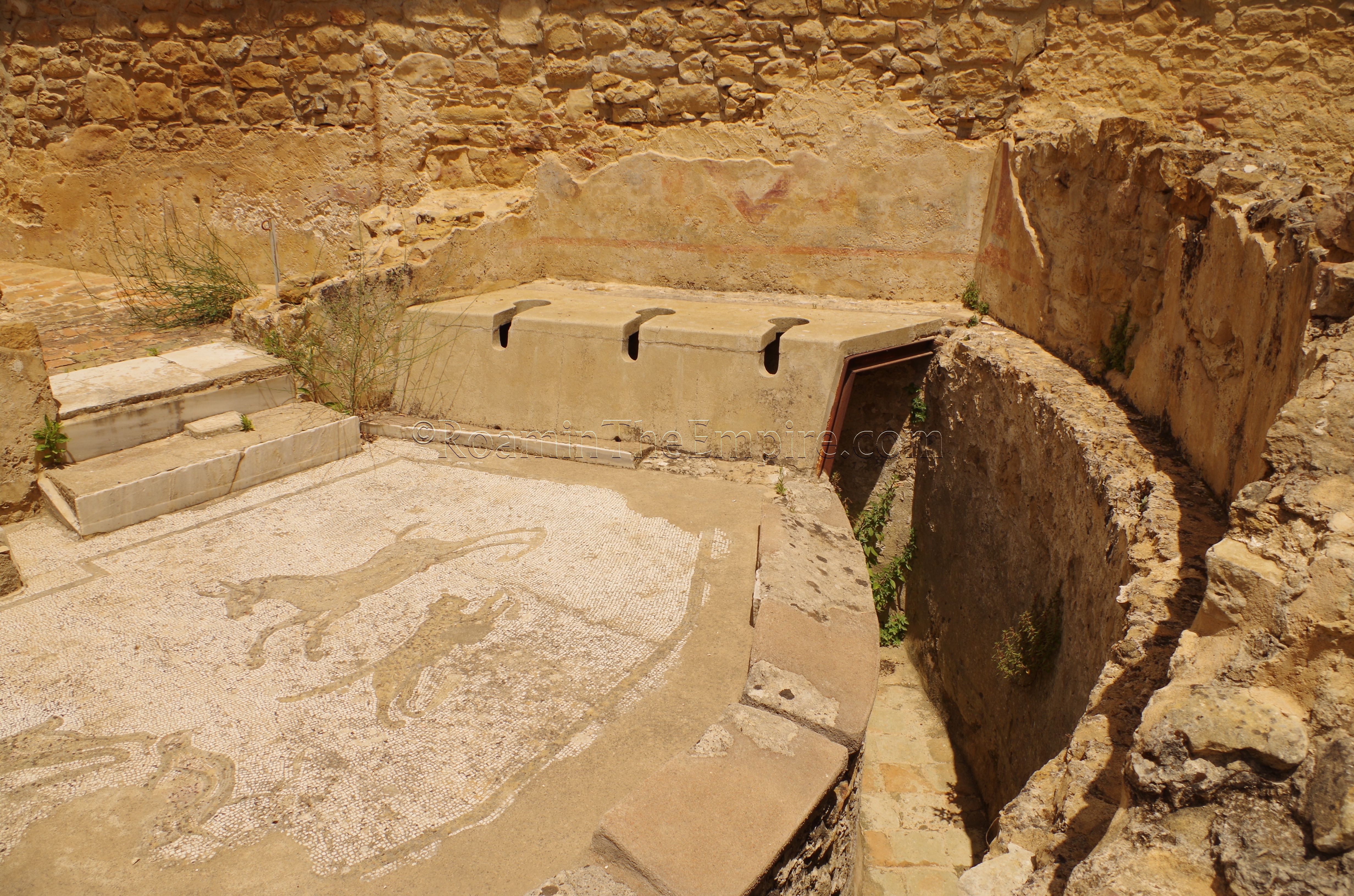 Latrine in the bathing complex area, with wall decoration, mosaic, and marble revetment remaining.