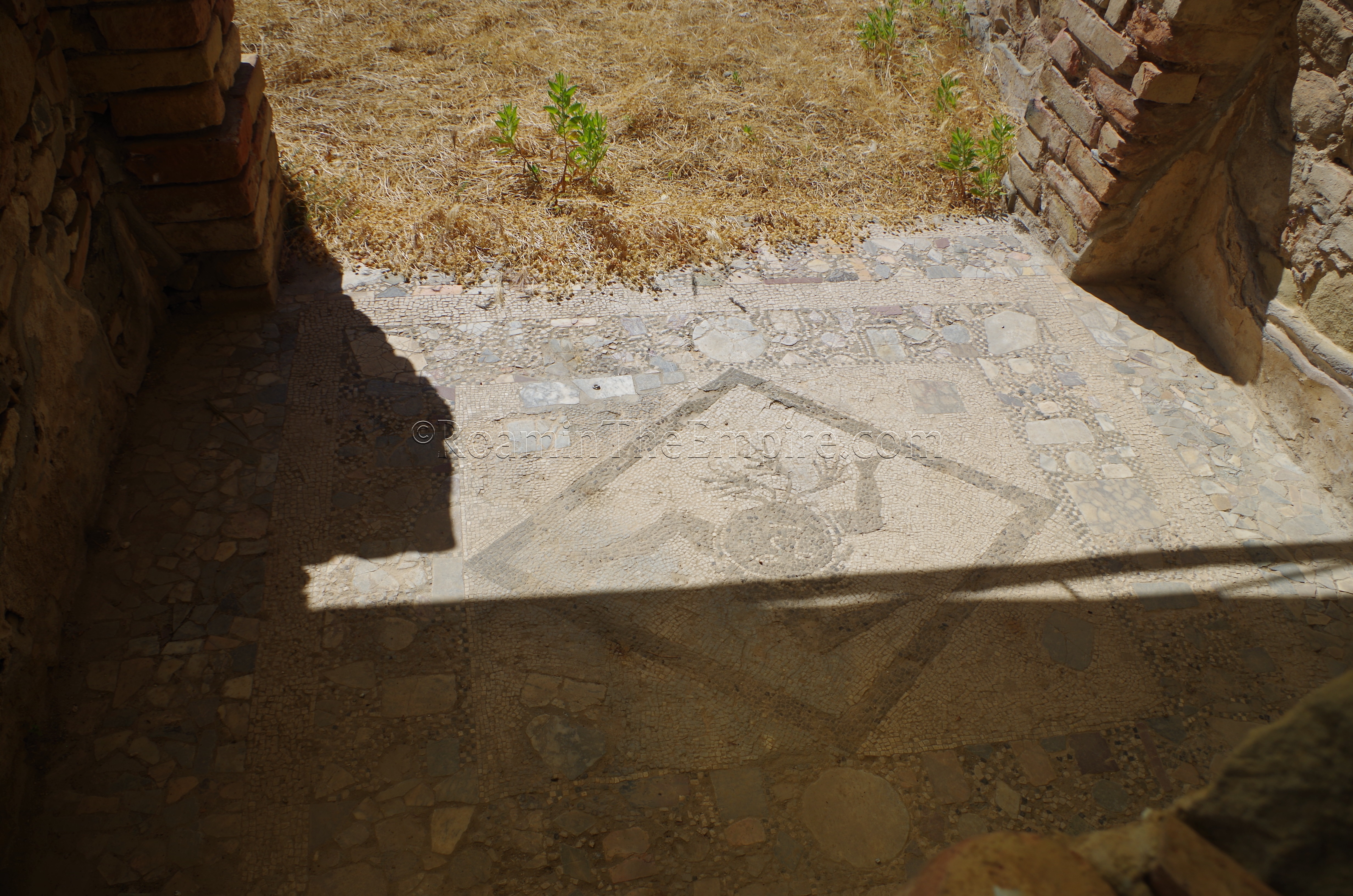 Trinacria mosaic in the tepidarium of the bathing complex in insula IV. Tyndaris.