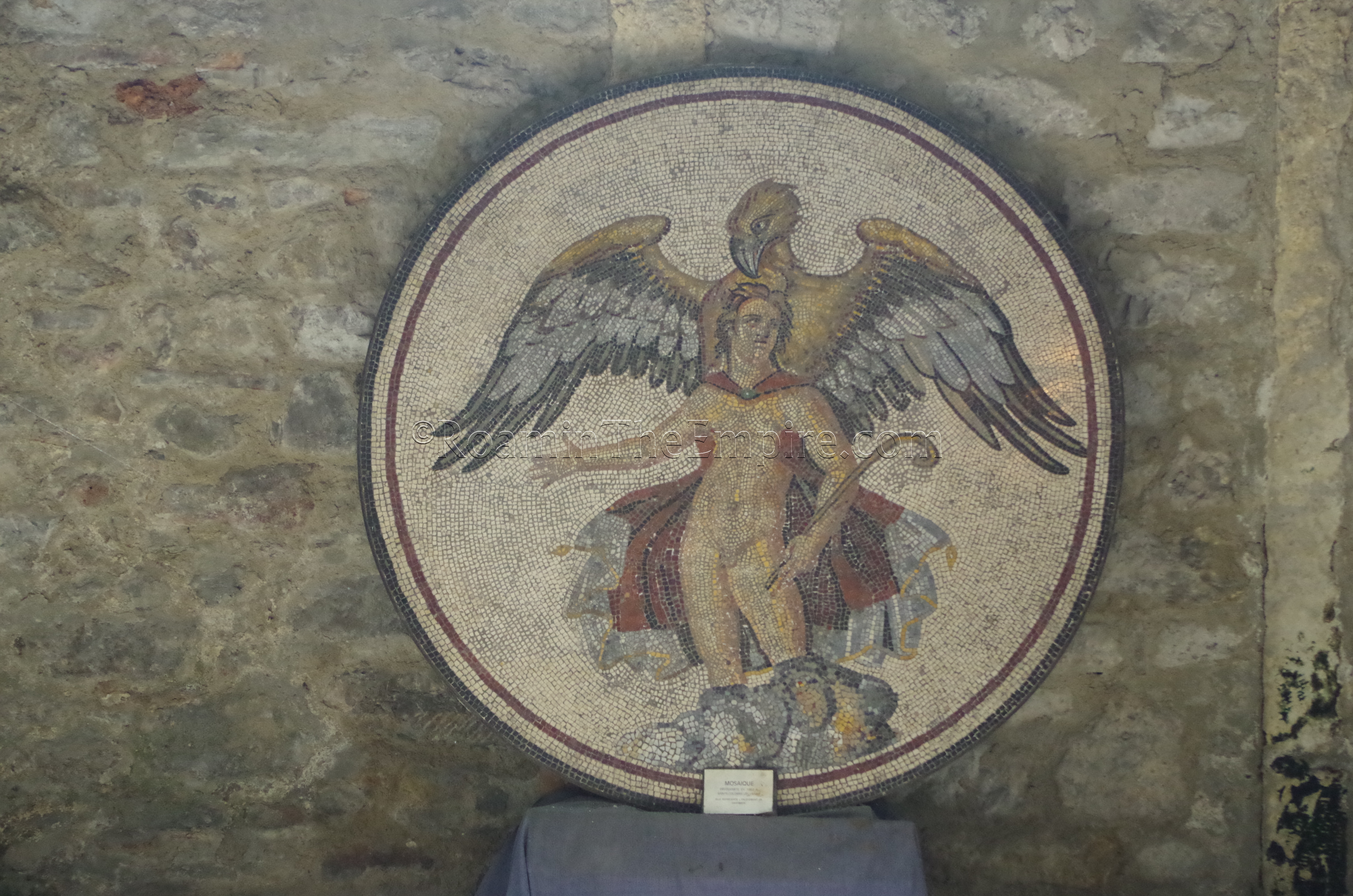 Mosaic of Ganymede and the Eagle in the Musée Archéologique Saint-Pierre. Vienna. Vienne.