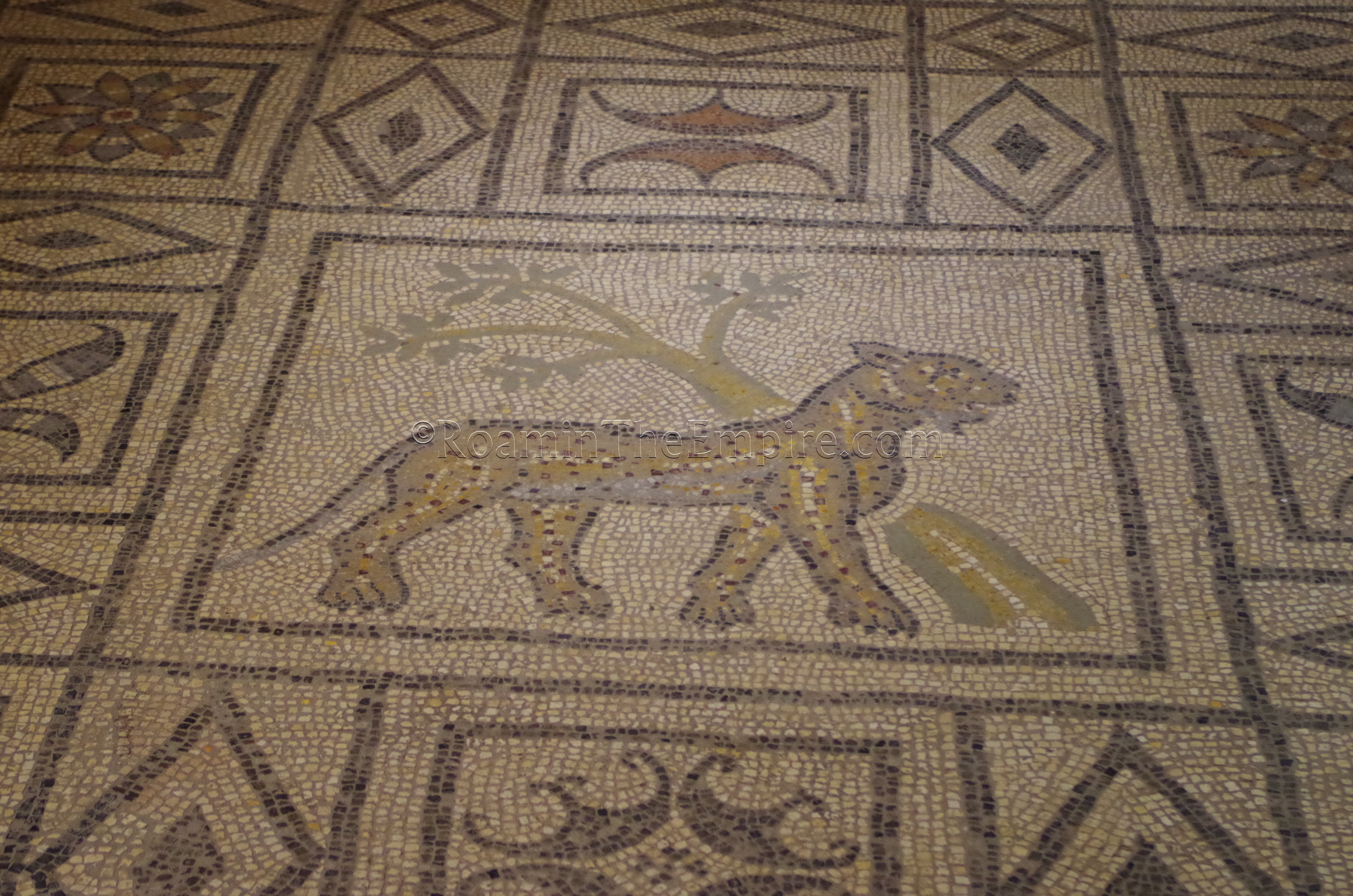 Detail of the central panel of the panther mosaic in the Musée Archéologique. Fréjus.