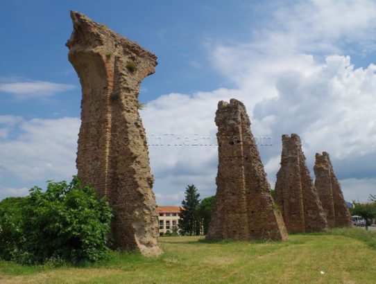 Forum Julii, Gallia Narbonensis
