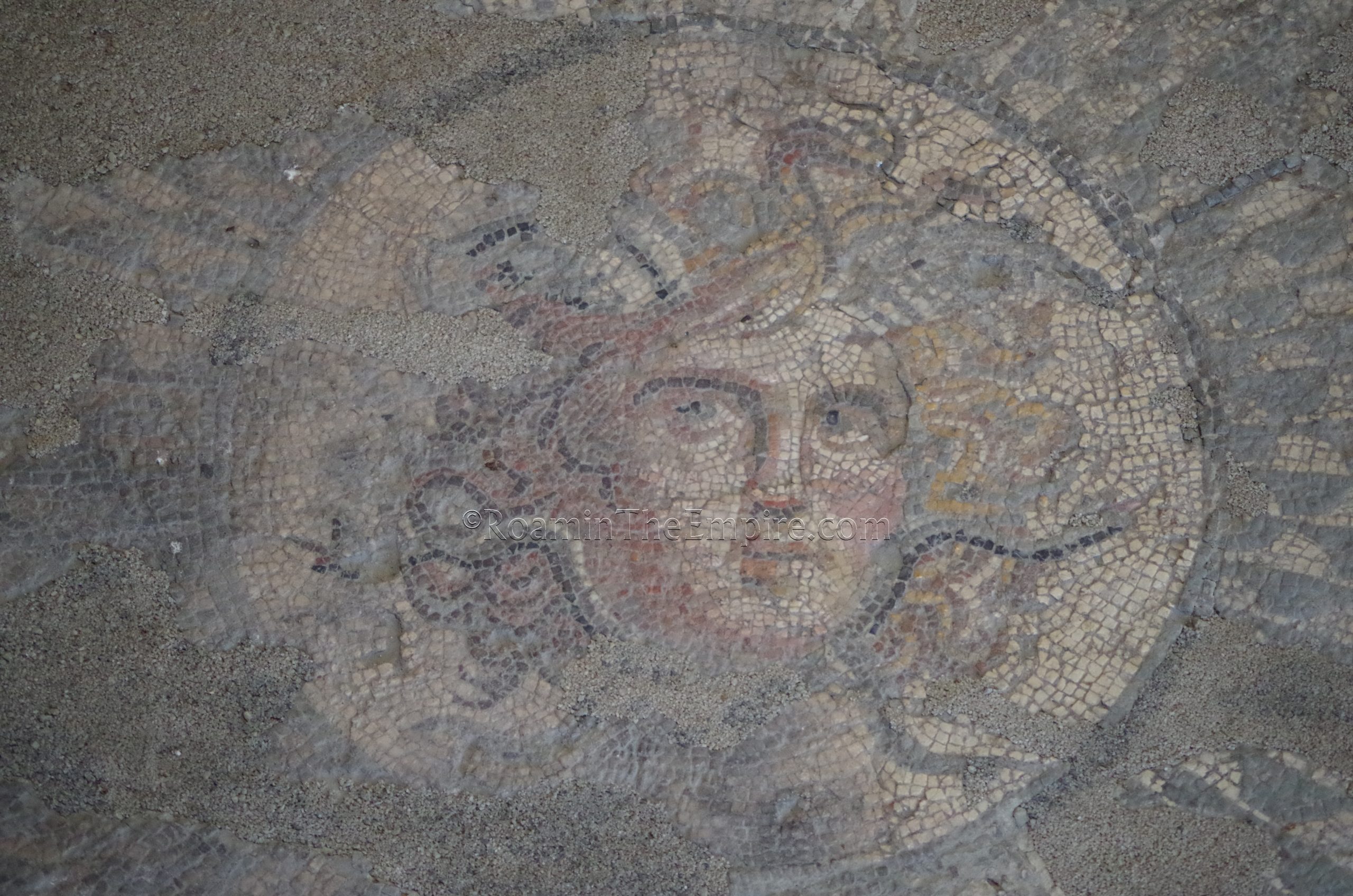 Detail of the Medusa mosaic. Marcianopolis.