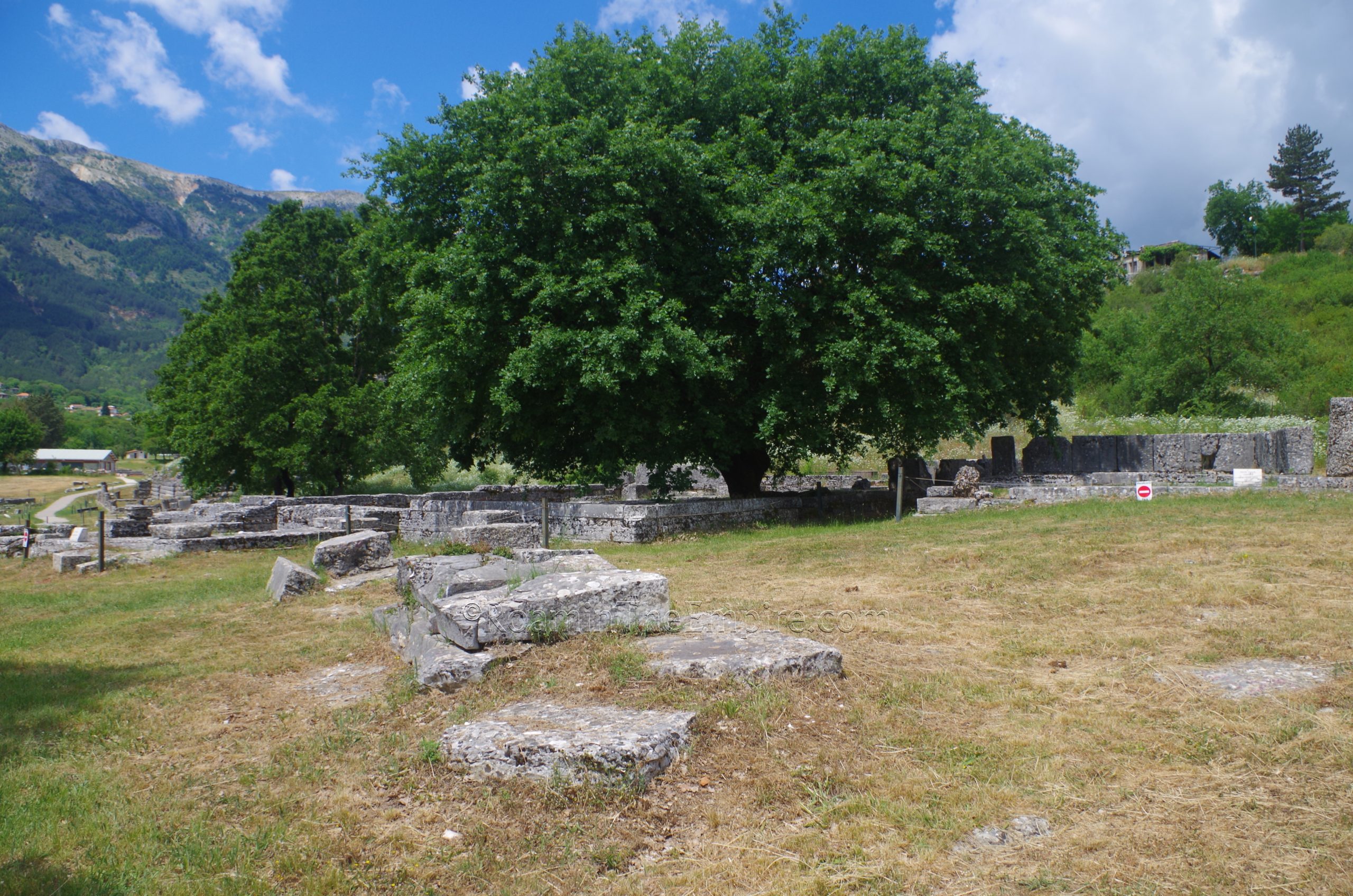 Hiera Oikia of Zeus, the core of the sanctuary and location of the sacred grove.
