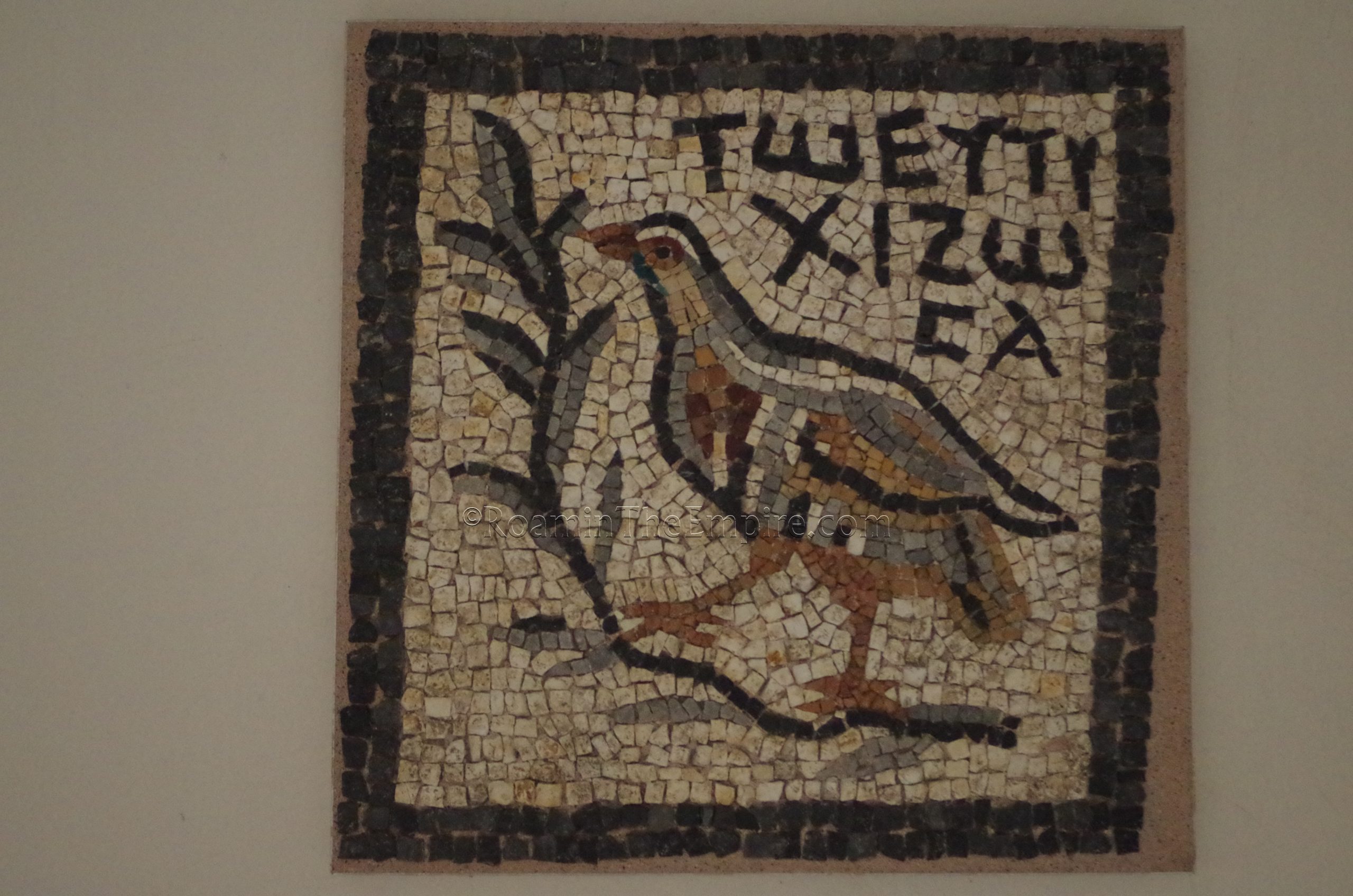 Mosaic of a partridge and the inscription 'for lucky Zosas' from the House of Zosas. Dated to the 2nd century CE. Archaeological Museum of Dion.