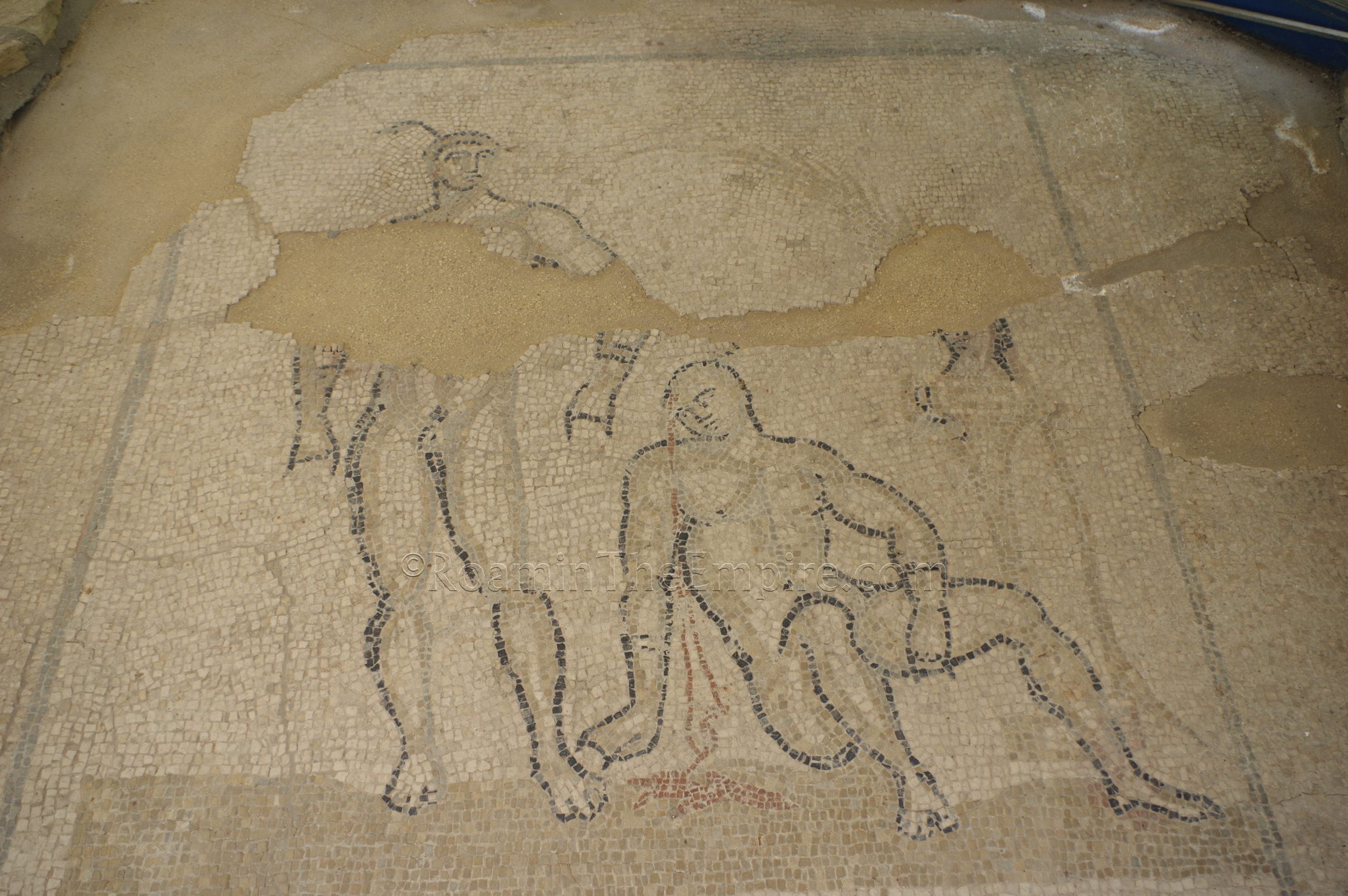 Boxer mosaic in the Hercules Villa. Aquincum.