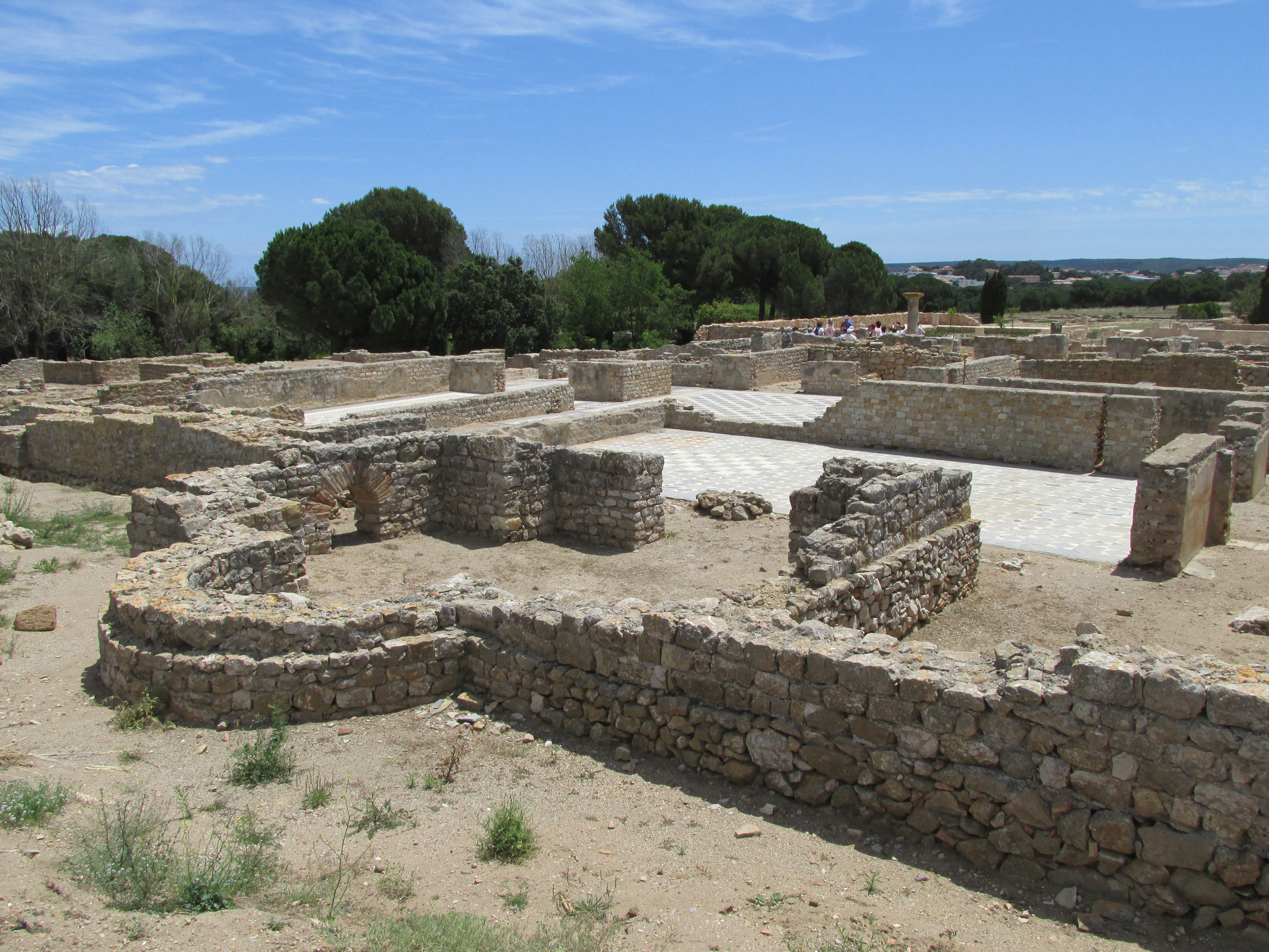 Northern area of Domus 1.