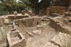 Basins in the courtyard area of the rock-cut sanctuary.