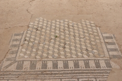 Mosaic in the Casa del Mosaico Rombi
