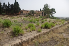 Area of the bouleuterion in the agora/forum.