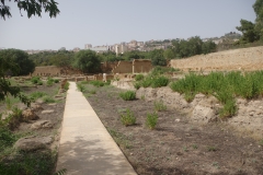 Stenopos along the west side of the Roman temple in the agora/forum.