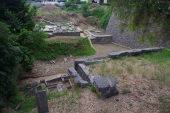 Polyandrion.