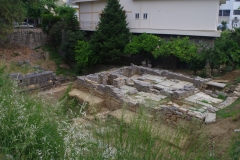 Polyandrion.