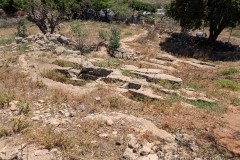 Western necropolis.